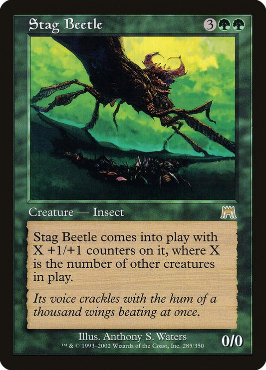 Stag Beetle [ONS - 285]