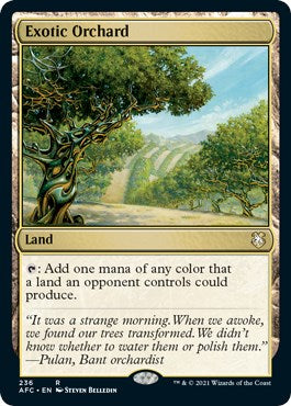 Exotic Orchard [AFC - 236]