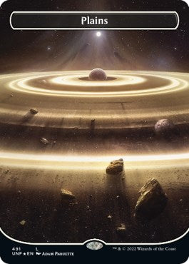 Plains (491) (Borderless) (Galaxy Foil)