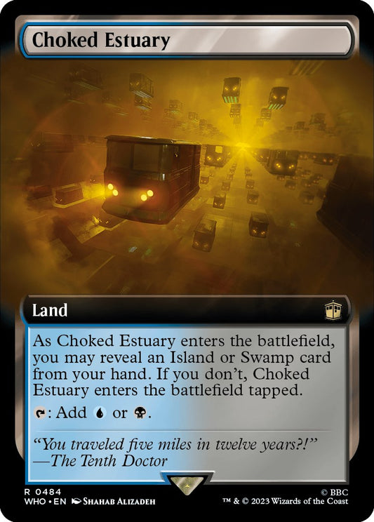 Choked Estuary (Extended Art) [WHO - 484]