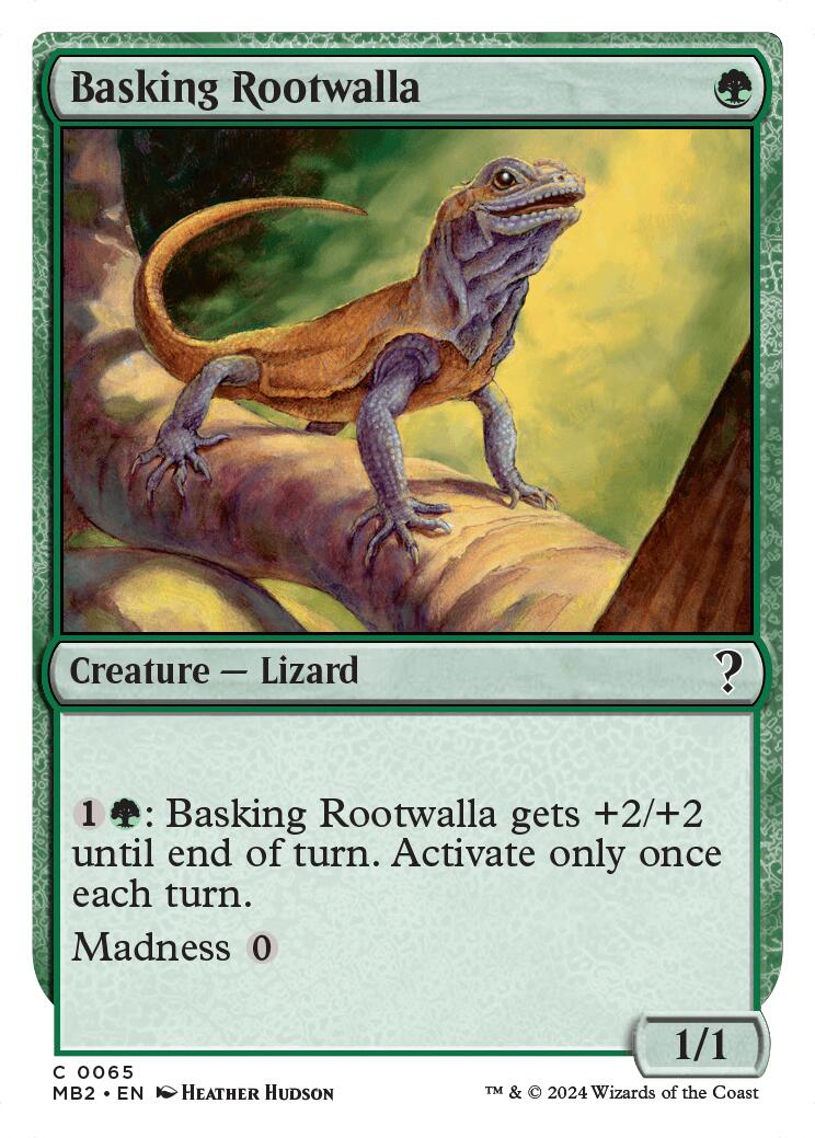 Basking Rootwalla (White Border)